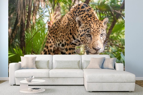 Vlies Fototapete - Jaguar im Dschungel 375 x 250 cm